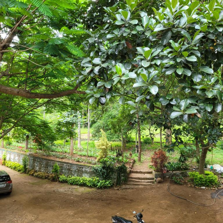 Rest & Beyond Estate stays photo