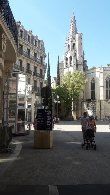 Studio Avignon Centre le Saint Pierre - 2