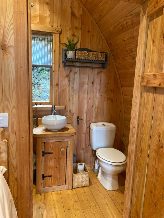 Hendre-Aur Glamping Pod photo 3