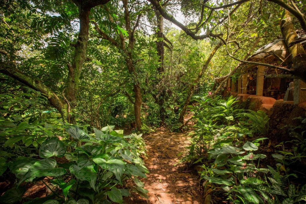Khaama Kethna Eco Sustainable Village photo