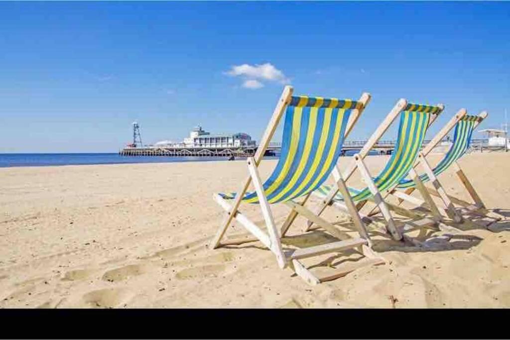 BOURNEMOUTH Nr TOWN-BEACH-TRAIN-COACH-UNI-SHOPS-Lovely ENTIRE APARTMENT ALLOWS QUIET GOOD DOGS - photo 4