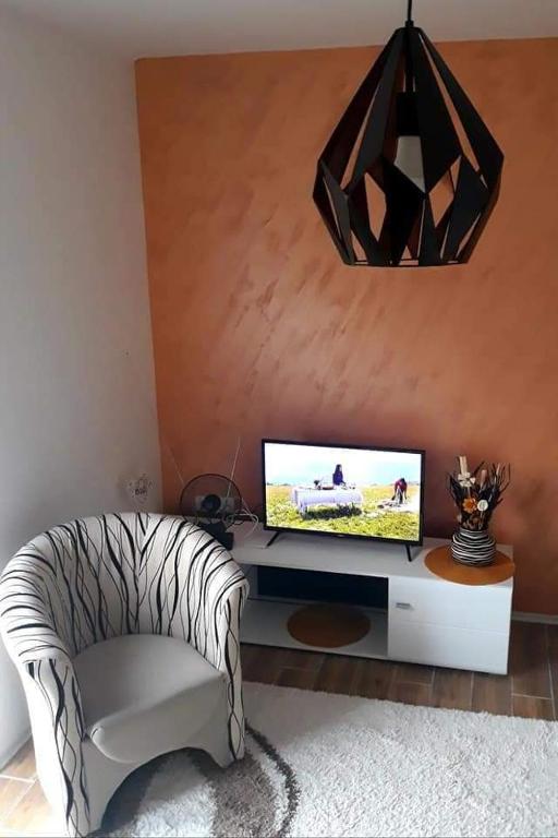 Apartman RADOVIĆ - 3