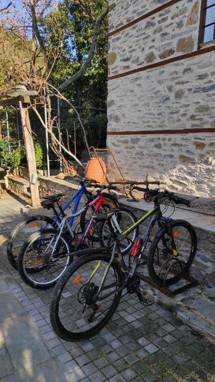 アクティビティ