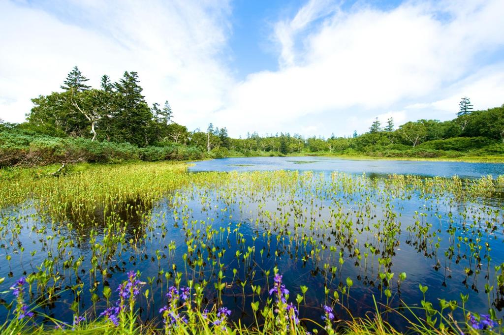 Surrounding environment