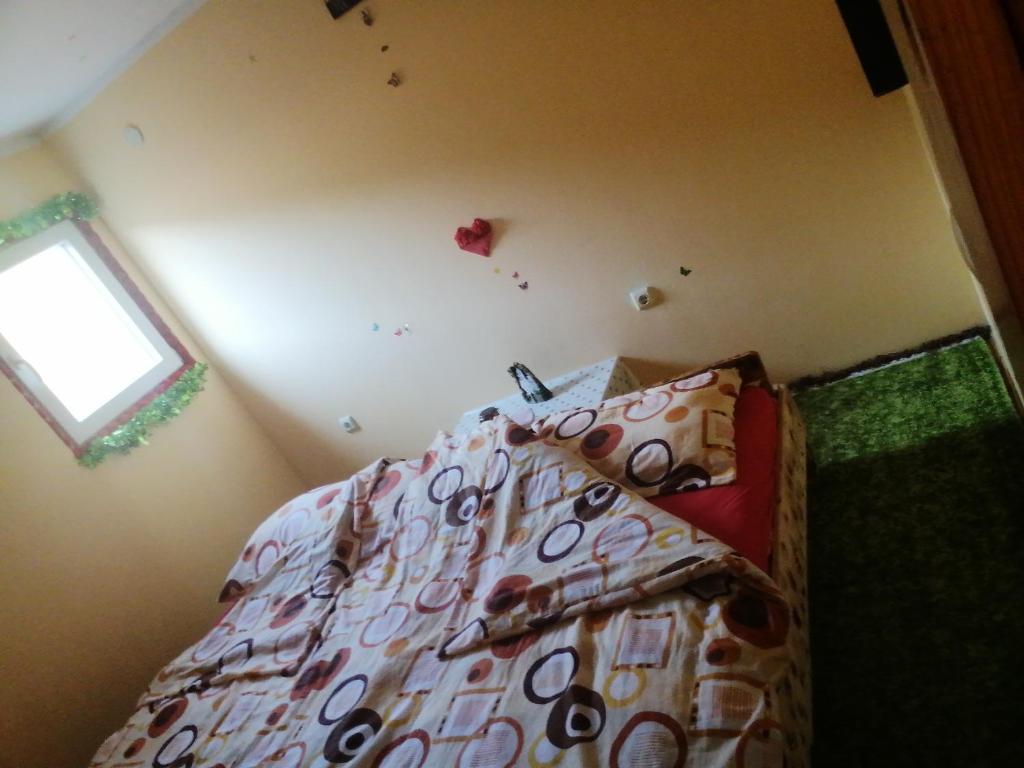 Kuca Dragovic Hostel photo