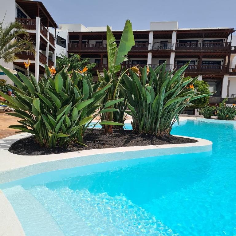 Nazaret Mansion — Swimming pool in Costa Teguise, Canary Islands