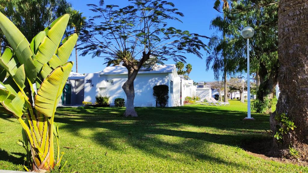 Canary Garden Club — Hotel building in Maspalomas, Canary Islands