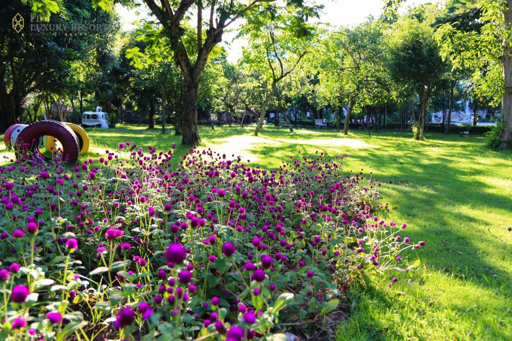 Surrounding environment