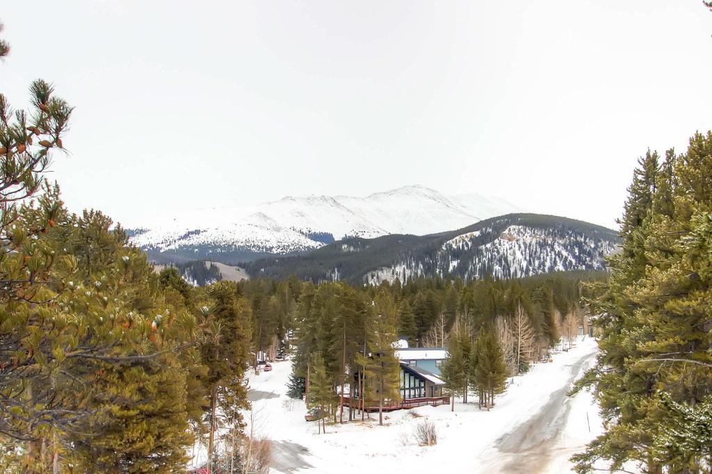 Mark IX #7 - Close to Town - Free Shuttle, Breckenridge