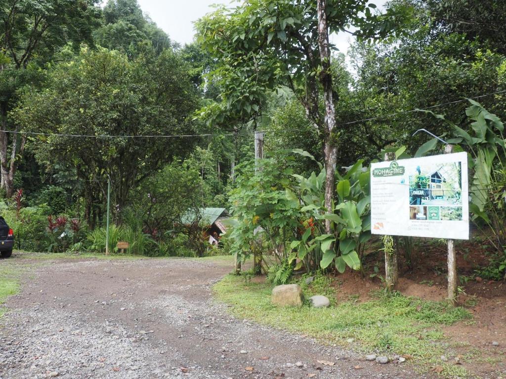 Mohagine Hotel photo