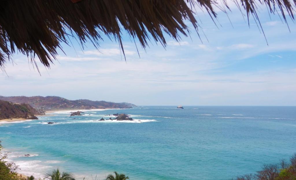 Altamira Mazunte photo