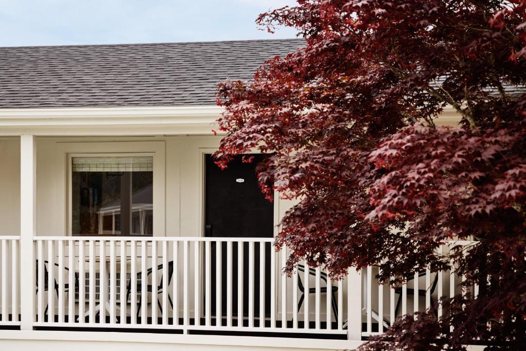 Bluebird Parker Beach Lodge photo
