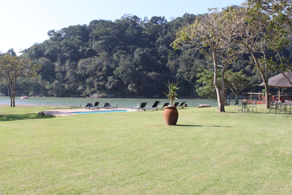 スイミングプール