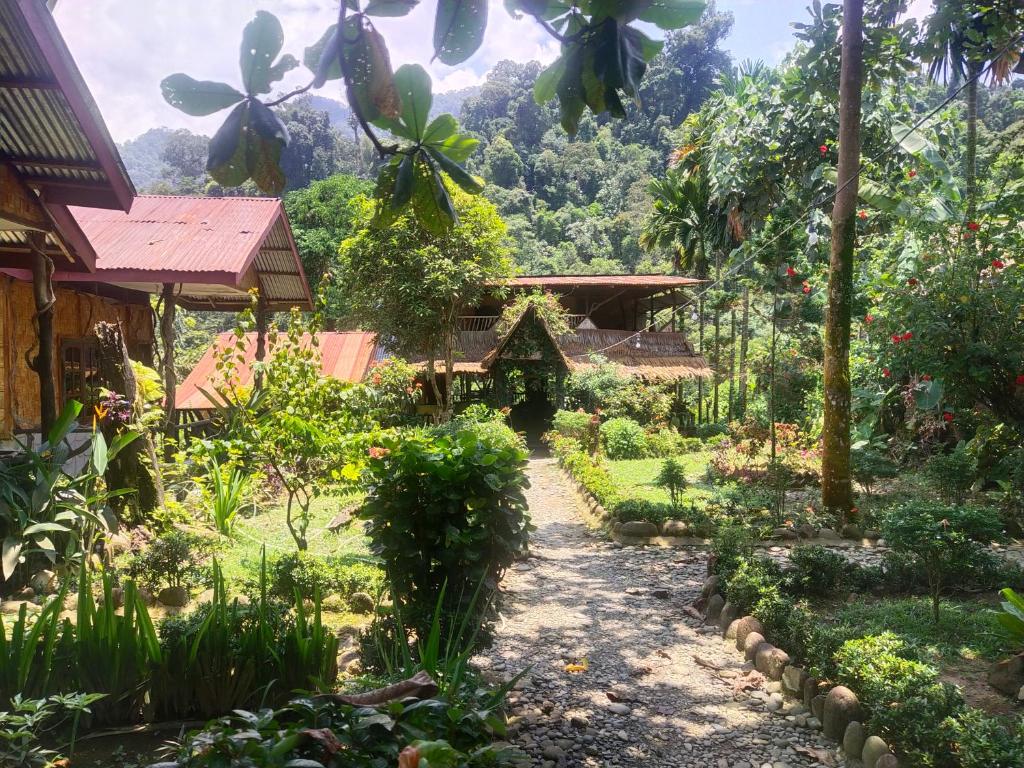 Mountain View Cottages & Villa Tangkahan, Tangkahan