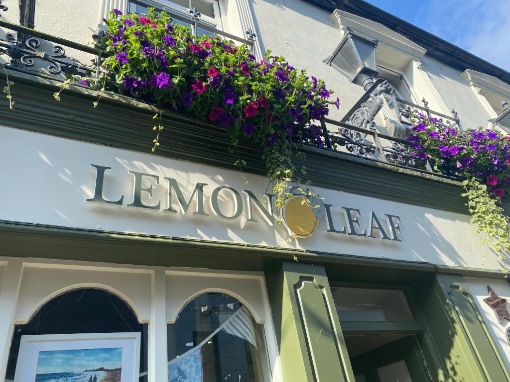 The Lemon Leaf Café Bar and Townhouse