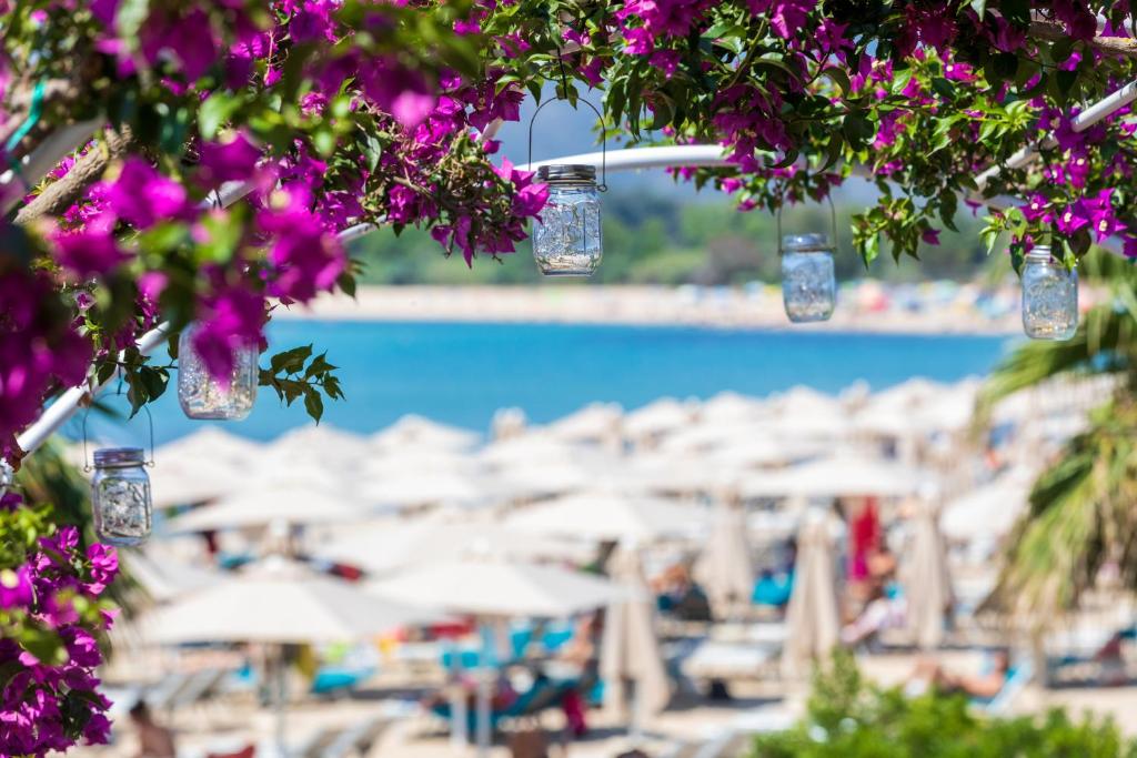 Hotel Club Saraceno - Bovis Hotels photo