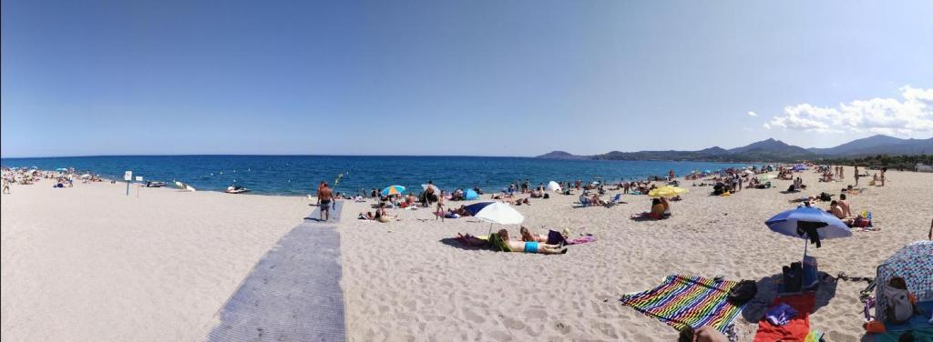 Maison Argeles sur mer proche plage - 1