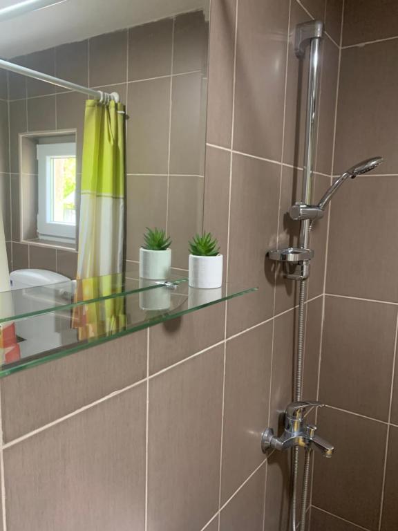 Vlajkovic apartmani 2 - 5