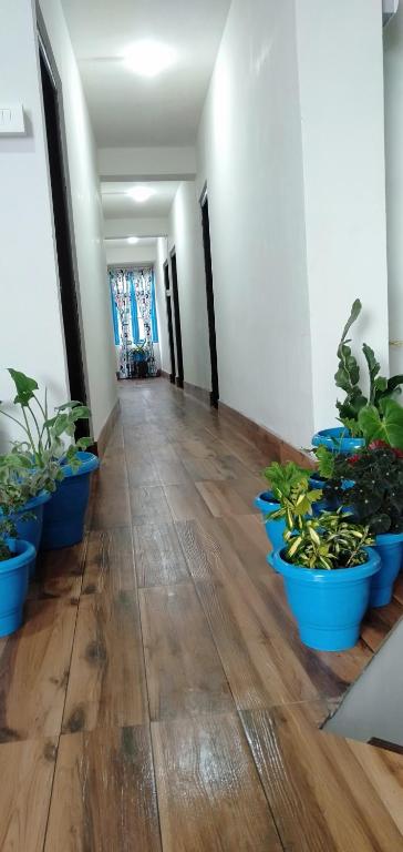 GIRIN Homestay photo