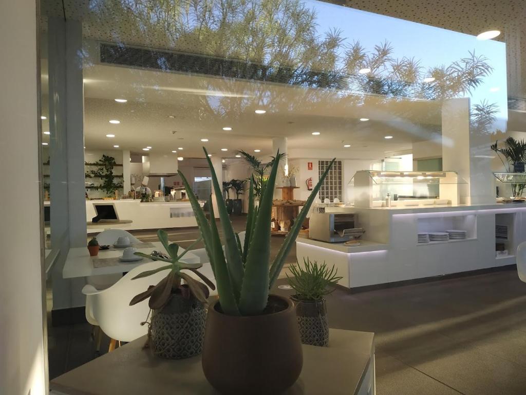 Hyde Park Lane Villas — Restaurant & bars in Puerto del Carmen, Canary Islands