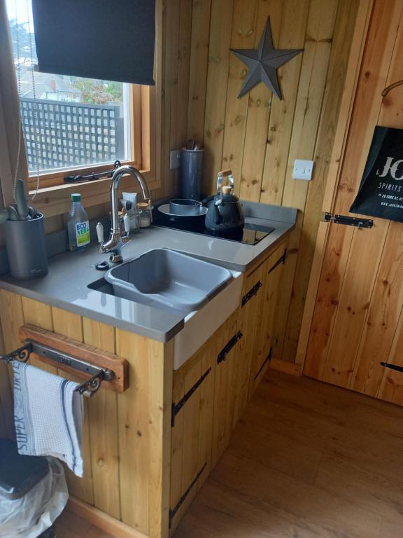 Stargazy Shepherds Hut photo 6