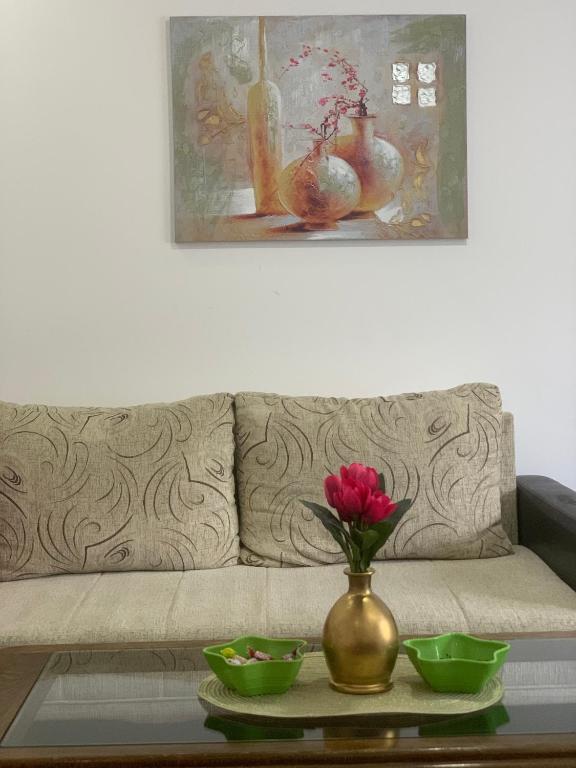 Vlajković apartmani - 5