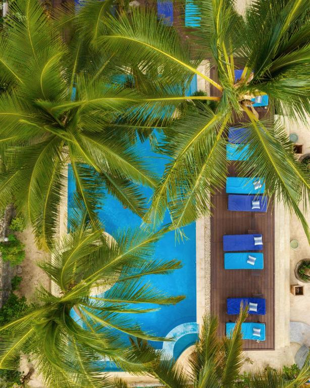 Casa Paradis — Hotel in Zanzibar