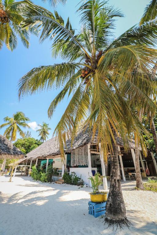 Restaurant, New Teddy's on the Beach in Zanzibar