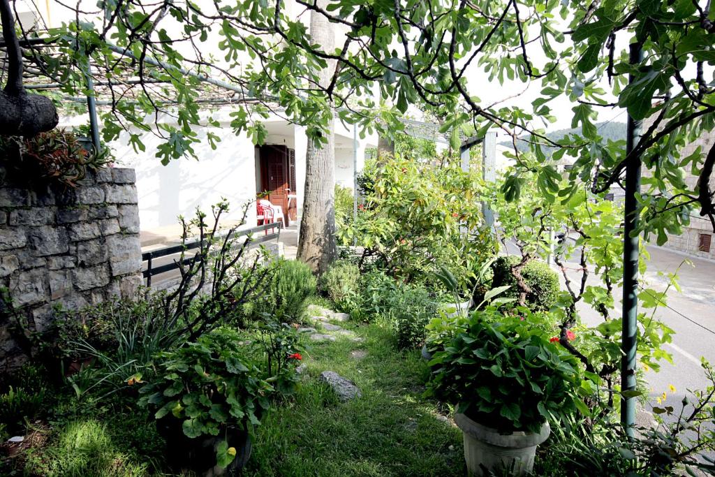 Guesthouse Drašković - 3
