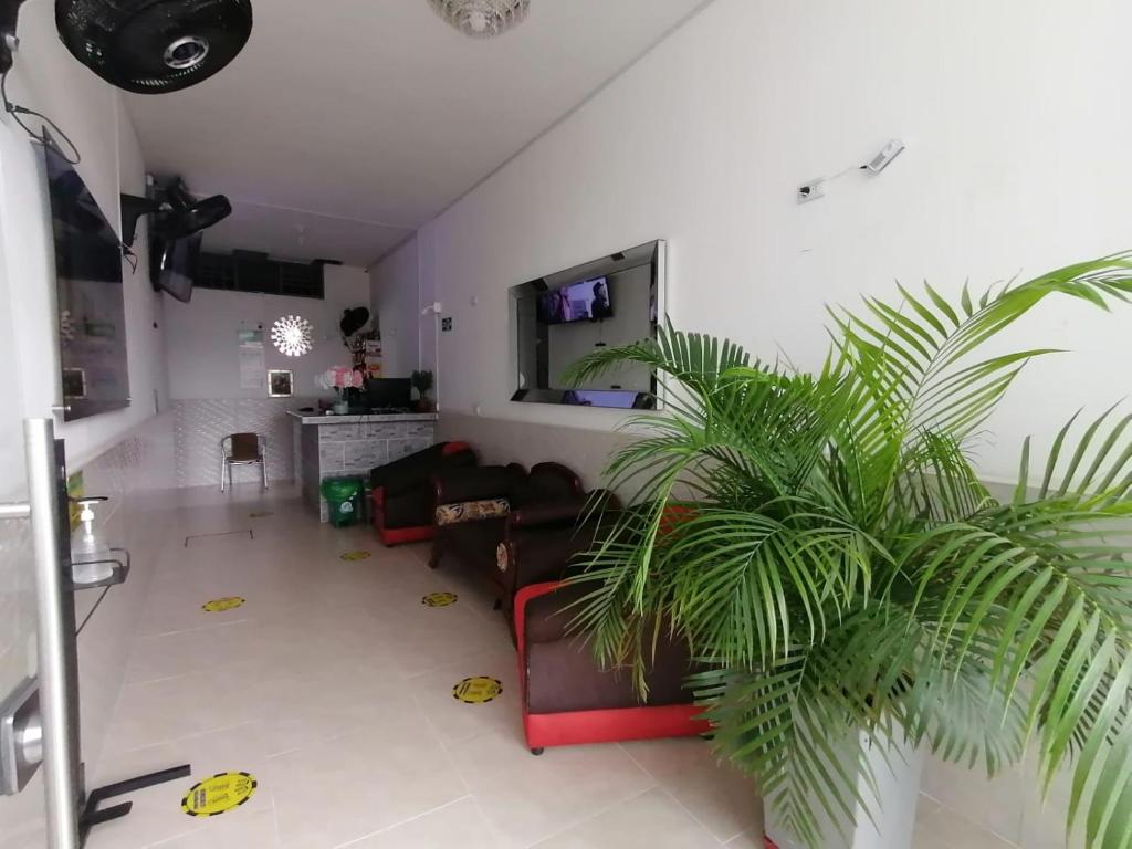 Hotel Gueicer Cucuta - 2
