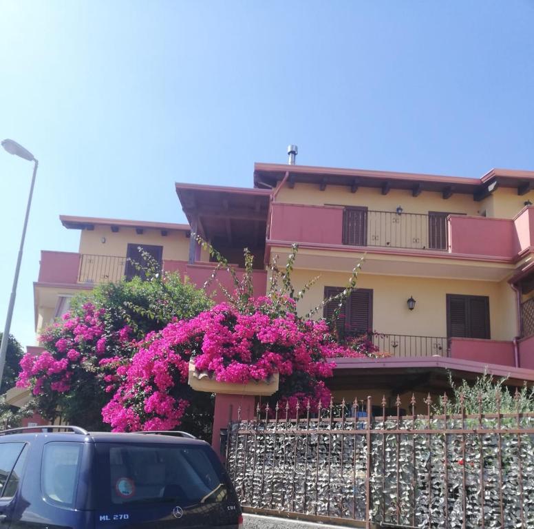 Gabbiano Jonathan, Cirò Marina