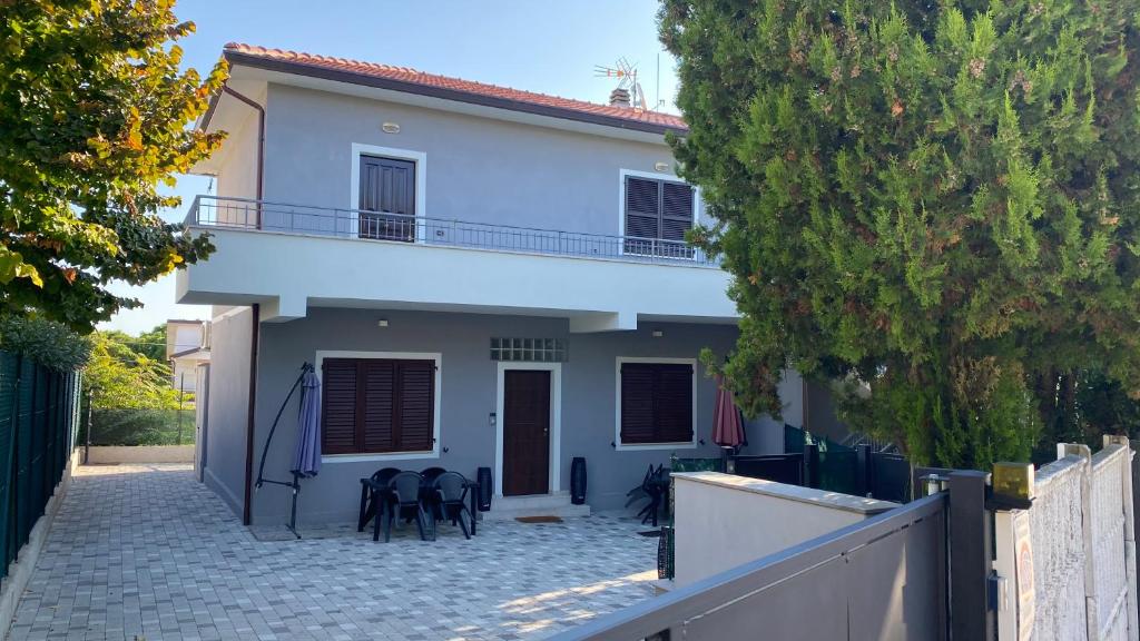 Cingohouse - 1