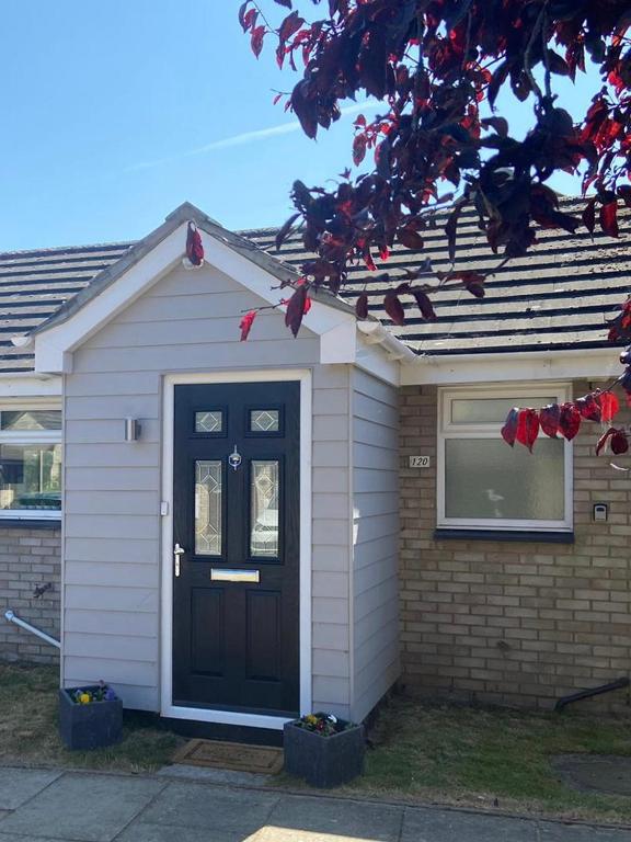 Modern Open Plan Bungalow, Felixstowe photo 4