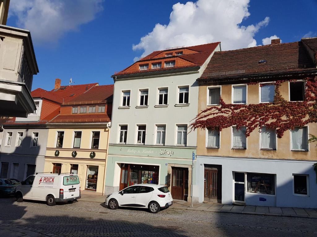 Comfortable apartment in Saxony in a charming area