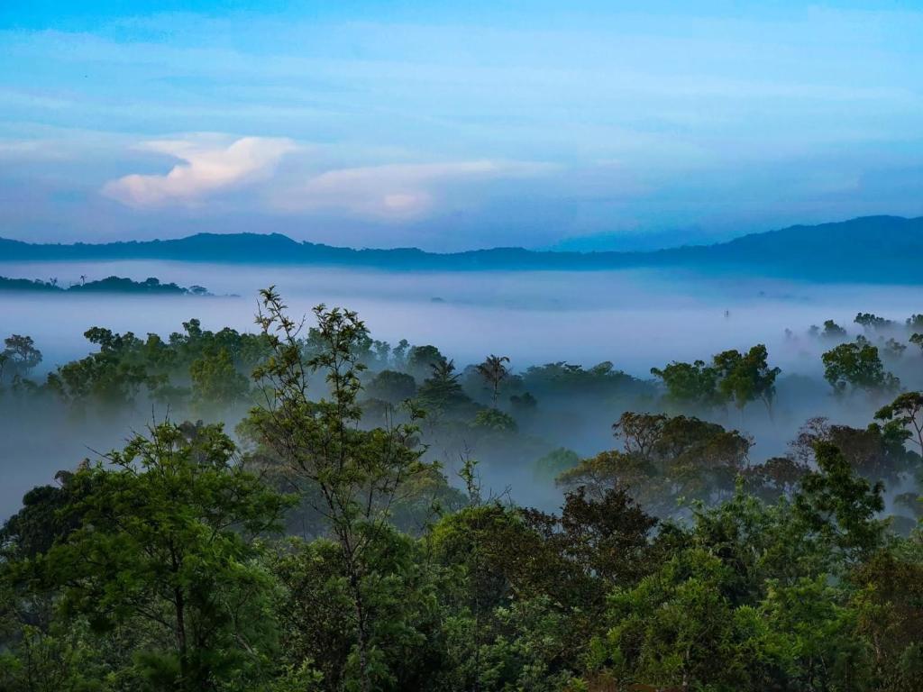 Jade Hills Coorg — Hotel in Coorg