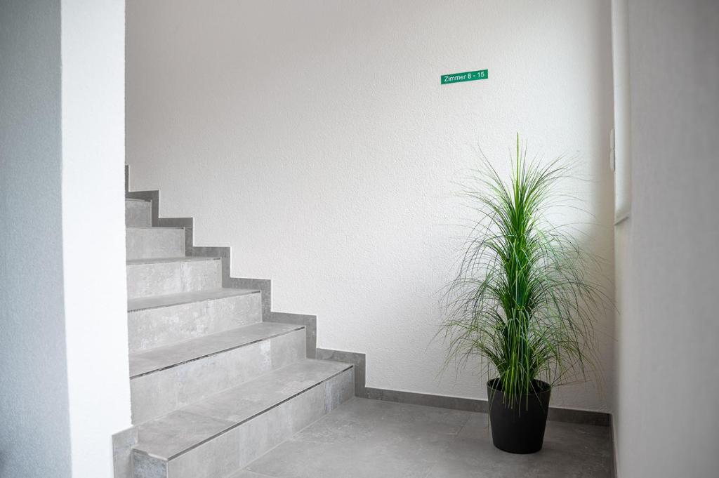 Hotel Grune Elster photo