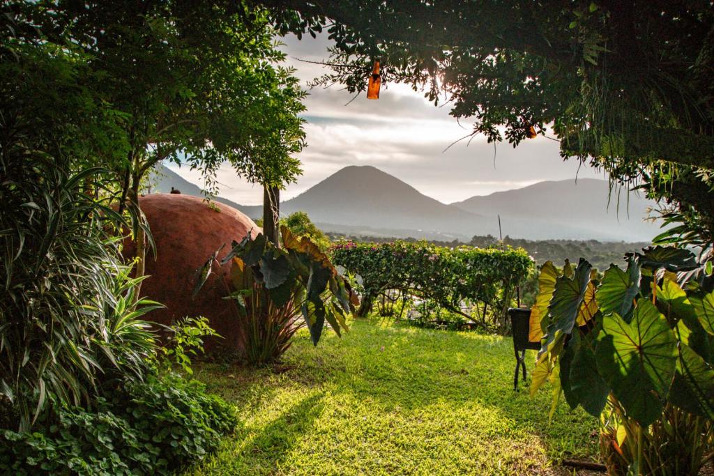 Hotel Juayua photo