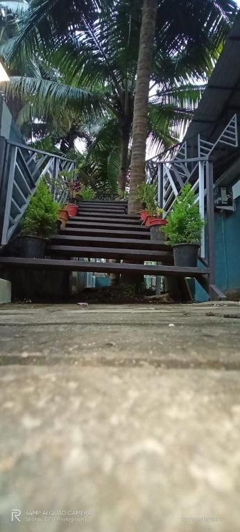 Thyme Guest House photo