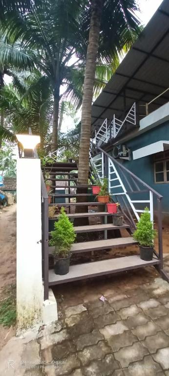 Thyme Guest House photo