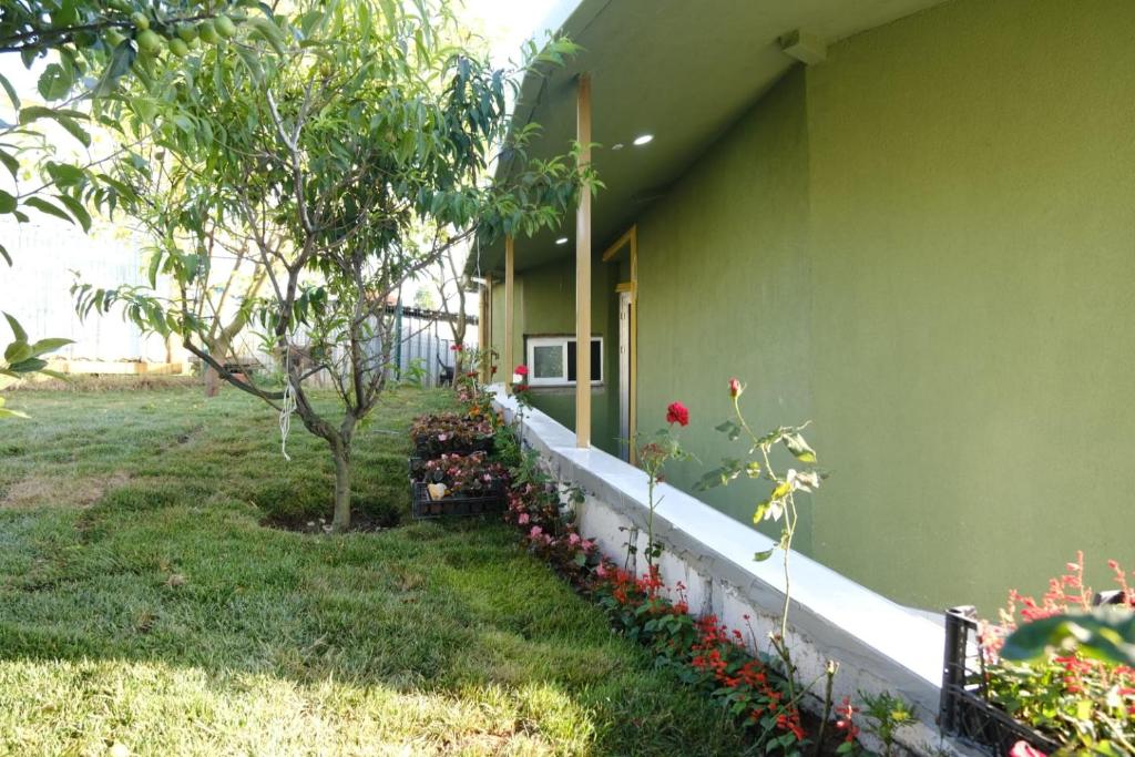 Forest Blue Beach Hotel photo