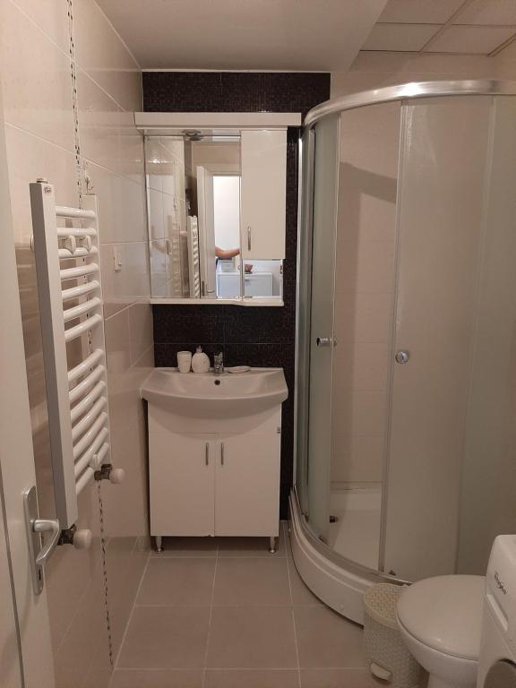 Ivan2020 apartment photo