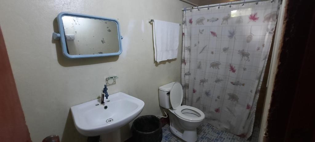 Tropical Dreams Hostel photo