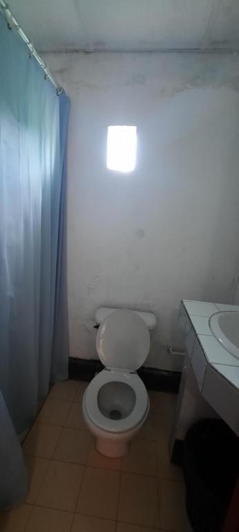 Tropical Dreams Hostel photo