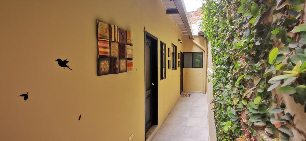 Apartamento habitacion ejecutiva photo