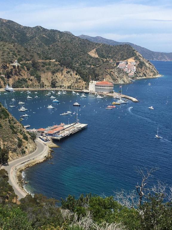 The Avalon Hotel in Catalina Island photo