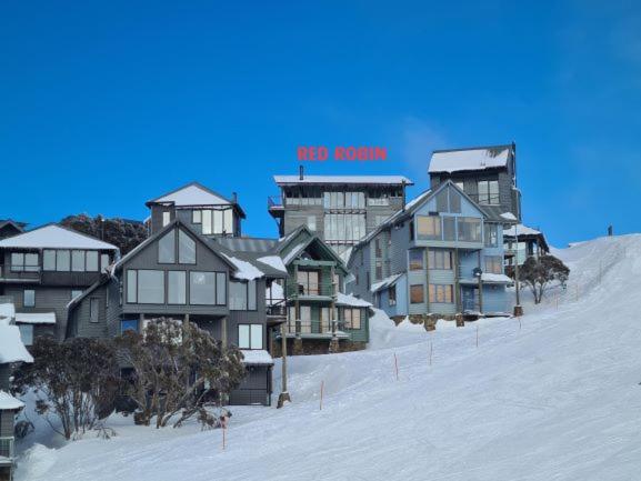 Red Robin, Mount Hotham