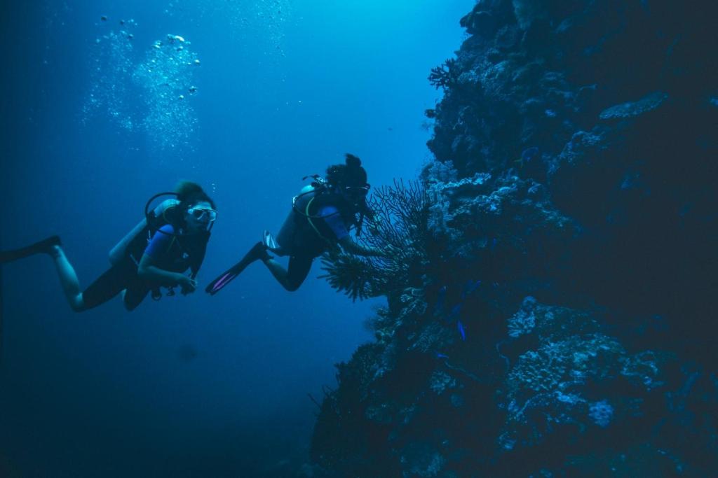 Sports and activities