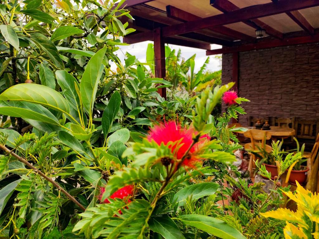 Hotel Las Mercedes Airport-Quito photo