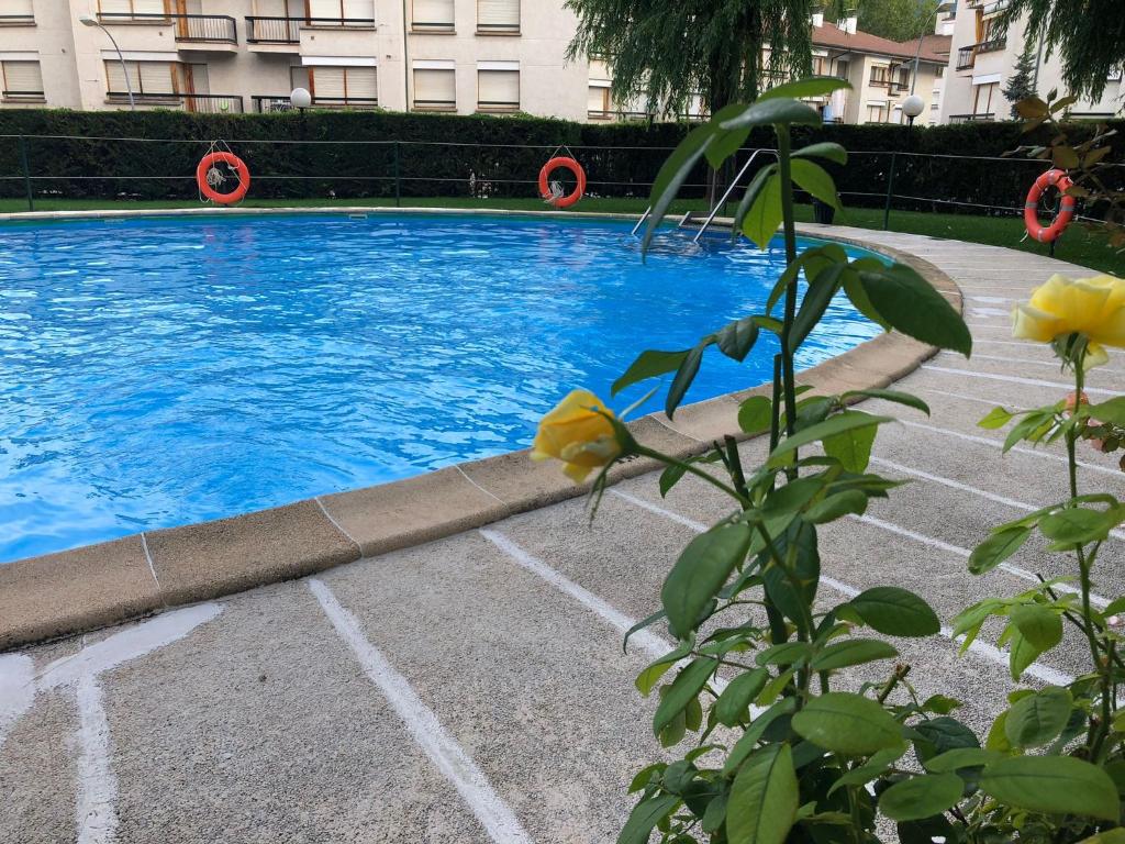 Apartamento Alba - 5
