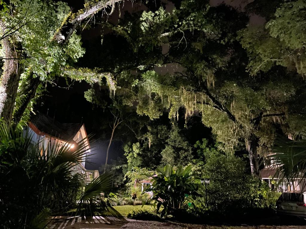 The Ann Stevens House photo